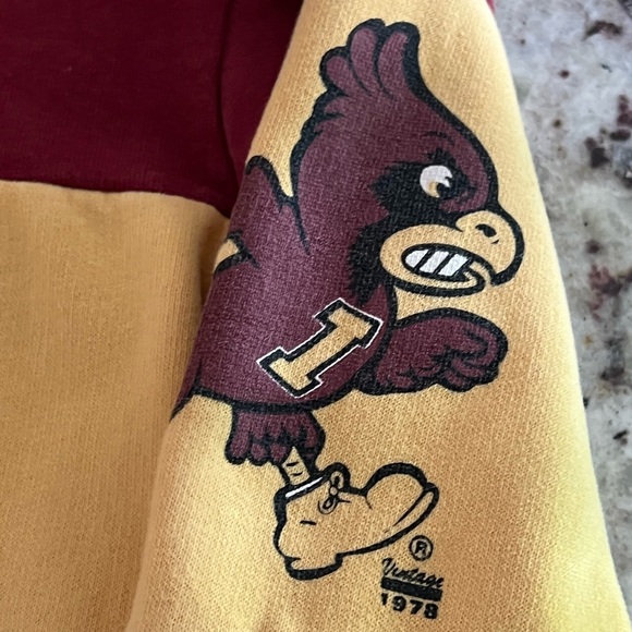 Iowa State Cyclones Colorblock Sweatshirt Tailgate - Picture 4 of 6